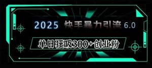 2025年快手6.0保姆级教程震撼来袭，单日狂吸300+精准创业粉-极速轻创
