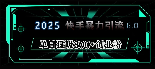 2025年快手6.0保姆级教程震撼来袭，单日狂吸300+精准创业粉-极速轻创