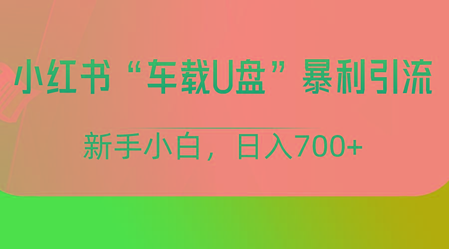 小红书“车载U盘”项目，暴利引流，新手小白轻松日入700+-极速轻创