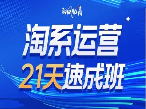 淘系运营21天速成班35期，年前最后一波和2025方向-极速轻创