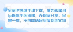 全案IP操盘手线下课，成为现象级ip操盘手必修课，无保留分享，全是干货，不讲废话超深度培训实操-极速轻创
