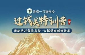 剽悍一只猫-过钱关特训营，学习营销真经 大幅度提高创富效率-极速轻创