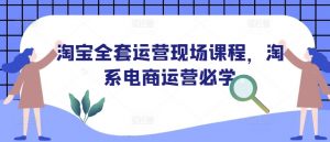 淘宝全套运营现场课程，淘系电商运营必学-极速轻创