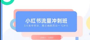 小红书流量冲刺班2025，最懂小红书的女人，快速教你2025年入局小红书-极速轻创