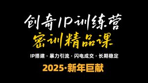 2025年“知识付费IP训练营”小白避坑年赚百万，暴力引流，闪电成交-极速轻创