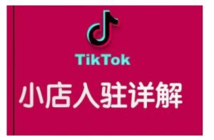 TikTok跨境小店运营全攻略，帮助你独立运营TK跨境小店的能力，实现销量增长-极速轻创
