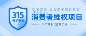 维Q赔付合金筷子玩法小白也能月入5w+风口项目实操-极速轻创