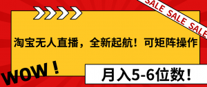 淘宝无人直播，全新起航！可矩阵操作，月入5-6位数！-极速轻创