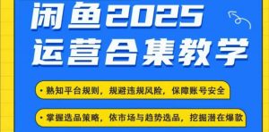 2025闲鱼电商运营全集，2025最新咸鱼玩法-极速轻创