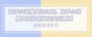 知乎小说推文怎么玩，知乎小说推文项目保姆级实战教程-极速轻创