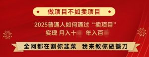 必看，做项目不如卖项目，2025普通人如何通过“卖项目”实现月入十个，年入百个-极速轻创