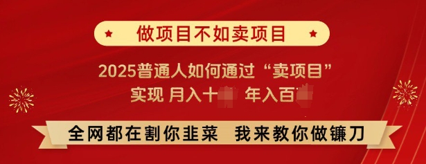 必看，做项目不如卖项目，2025普通人如何通过“卖项目”实现月入十个，年入百个-极速轻创