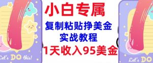 复制粘贴挣美金，0门槛，1天收入95美刀，3分钟学会，内部教程(首次公开)-极速轻创