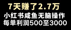 最赚钱项目之一，2025爆火，逆风翻盘！-极速轻创