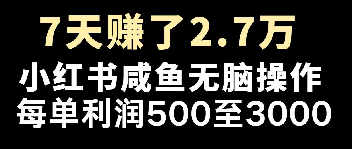 最赚钱项目之一，2025爆火，逆风翻盘！-极速轻创