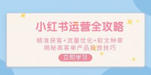 小红书运营全攻略，精准获客+流量优化+软文种草，揭秘高客单产品投放技巧-极速轻创