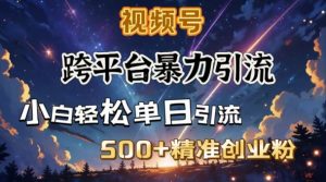 跨平台暴力引流，私域完美闭环，日引500+精准创业粉-极速轻创