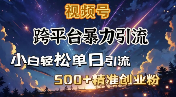 跨平台暴力引流，私域完美闭环，日引500+精准创业粉-极速轻创