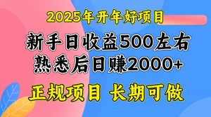 2025开年好项目，单号日收益2000左右-极速轻创