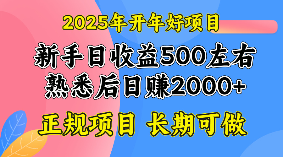 2025开年好项目，单号日收益2000左右-极速轻创
