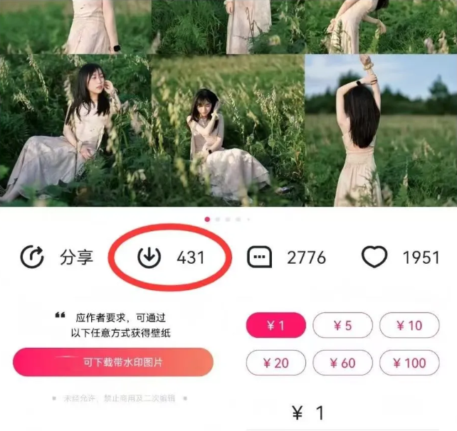 最新图虫搬运项目，收益无上限，利用AI小白也可日赚500+-极速轻创
