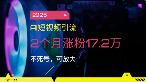 2025AI短视频引流，2个月涨粉17.2万，不死号，可放大-极速轻创