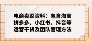 电商卖家资料：包含淘宝、拼多多、小红书、抖音等运营干货及团队管理方法-极速轻创