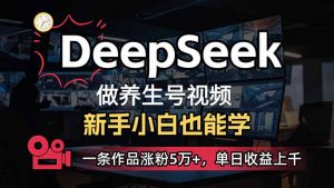 小白用DeepSeek做养生号，一条作品涨粉5万+，单日收益上千-极速轻创