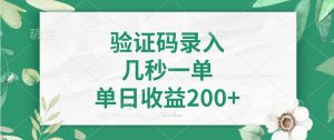 验证码录入，几秒一单，单日收益200+-极速轻创