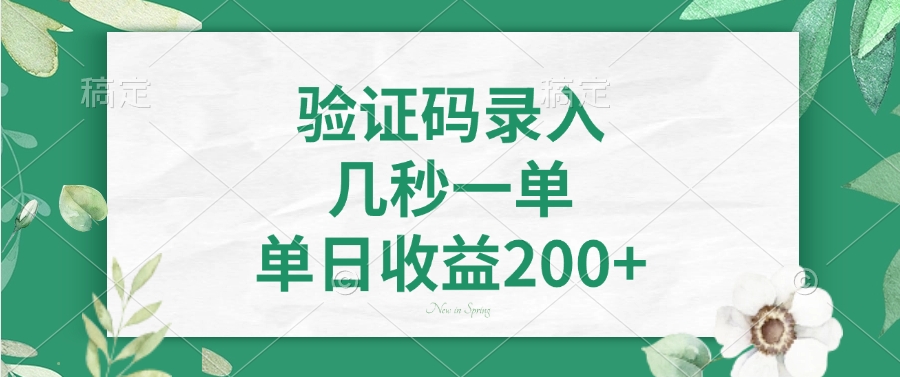 验证码录入，几秒一单，单日收益200+-极速轻创