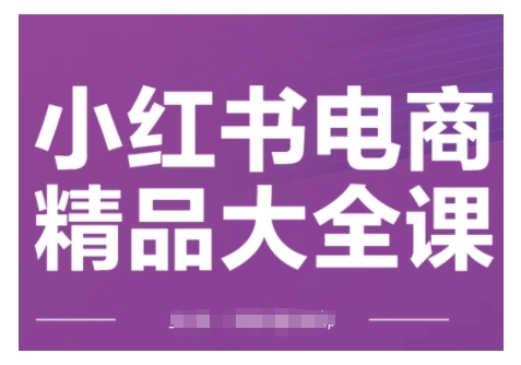 小红书电商精品大全课，快速掌握小红书运营技巧，实现精准引流与爆单目标，轻松玩转小红书电商(更新2月)-极速轻创
