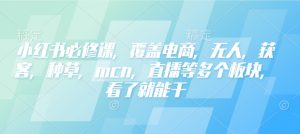 小红书必修课，覆盖电商，无人，获客，种草，mcn，直播等多个板块，看了就能干-极速轻创