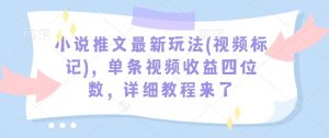 小说推文最新玩法(视频标记)，单条视频收益四位数，详细教程来了-极速轻创
