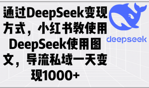 通过DeepSeek变现方式，小红书教使用DeepSeek图文，导流私域一天变现1000+-极速轻创
