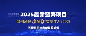 2025最新蓝海项目，零门槛轻松复制，月入10万+，新手也能操作！-极速轻创