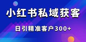 2025最新小红书平台引流获客截流自热玩法讲解，日引精准客户300+-极速轻创