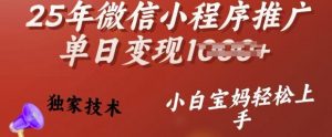 25年微信小程序推广单日变现多张，独家技术，小白宝妈轻松上手【揭秘】-极速轻创