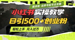 2月小红书最新日引500+创业粉实操教学【超详细】小白轻松上手，月入1W+，附小红书养号起号SOP-极速轻创