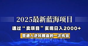 2025年蓝海项目，如何通过“网创项目”日入2000+-极速轻创