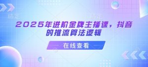 2025年进阶金牌主播课，抖音的推流算法逻辑-极速轻创