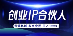 云帆·创业ip合伙人打造3.0，从0到1教你做网创，实现月入过W-极速轻创