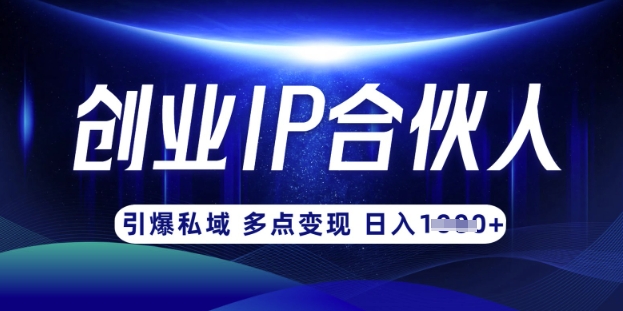 云帆·创业ip合伙人打造3.0，从0到1教你做网创，实现月入过W-极速轻创