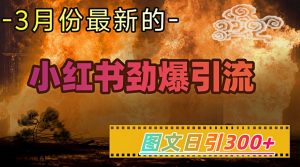 小红书超劲爆引流手段，图文日引300+轻松变现1W-极速轻创