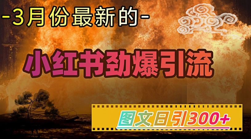 小红书超劲爆引流手段，图文日引300+轻松变现1W-极速轻创