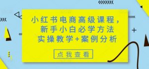 小红书电商高级课程，新手小白必学方法，实操教学+案例分析-极速轻创