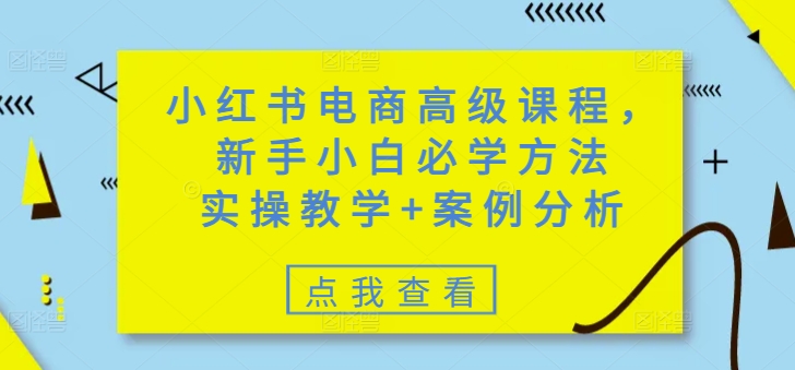小红书电商高级课程，新手小白必学方法，实操教学+案例分析-极速轻创