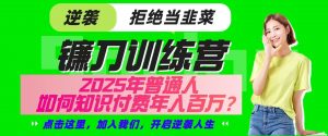 镰刀训练营超级IP合伙人，25年普通人如何通过“知识付费”实现逆袭-极速轻创