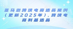 亚马逊跨境电商选品案例(更新2025年3月)，跨境电商利基选品-极速轻创