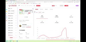 2025小红书虚拟电商实战课-极速轻创