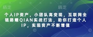 个人IP资产，小团队高变现，互联网全链路赚QIAN实战打法，助你打造个人IP，实现资产不断增值-极速轻创